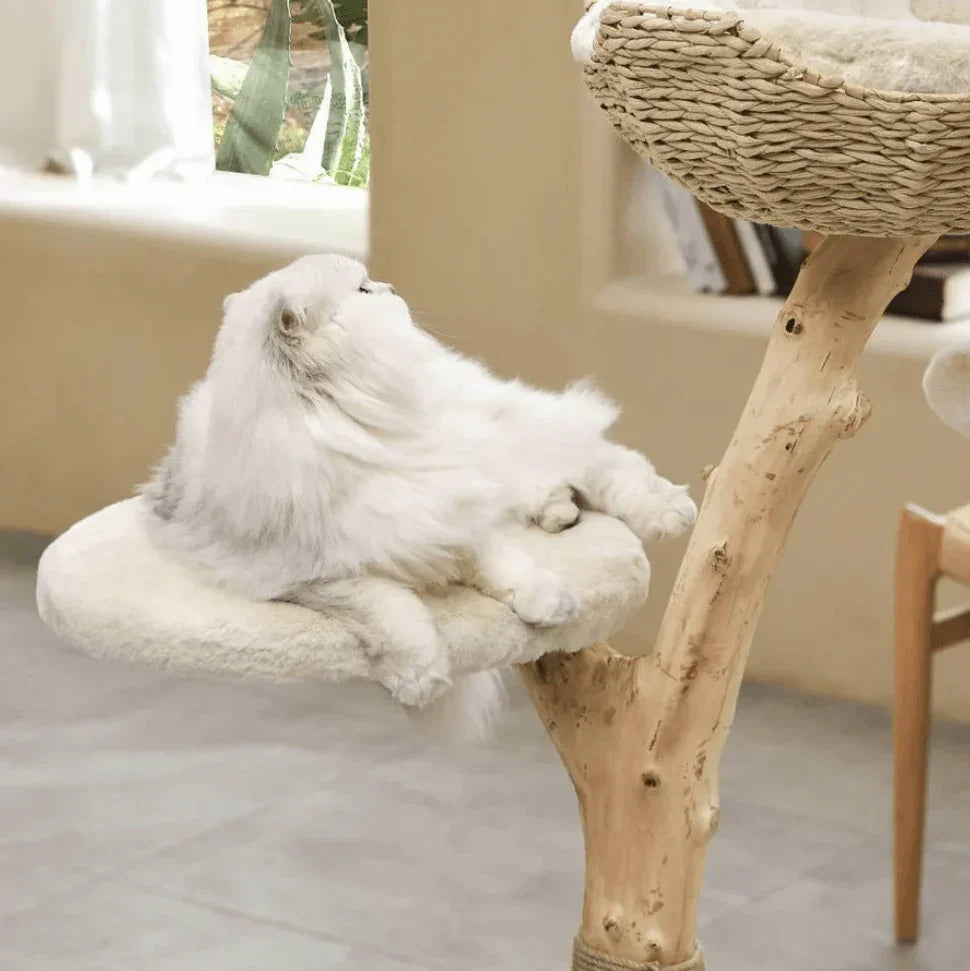 Michu Real Wood Cat Tree - Ultimate Feline Playground for Aussie Cats with a fluffy cat lounging on a cozy perch.