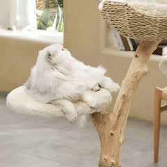 Michu Real Wood Cat Tree - Ultimate Feline Playground for Aussie Cats with a fluffy cat lounging on a cozy perch.