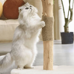 Michu Real Wood Cat Tree - Ultimate Feline Playground for Aussie Cats with a fluffy cat scratching the trunk.