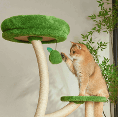 Michu Verde Solid Wooded Base Cat Tree-Petroom