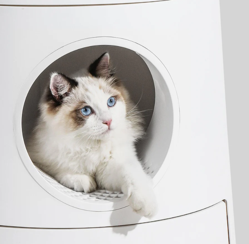 Michu XL Castle 2-in-1 Semi- Closed Cat Litter Box with Scratch Pad in Morandi Green/White-Petroom