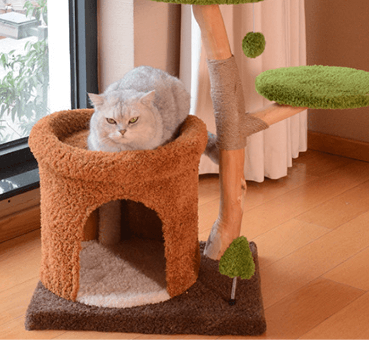 Natural Wood Cat Tree with Cozy Hideaway-Petroom