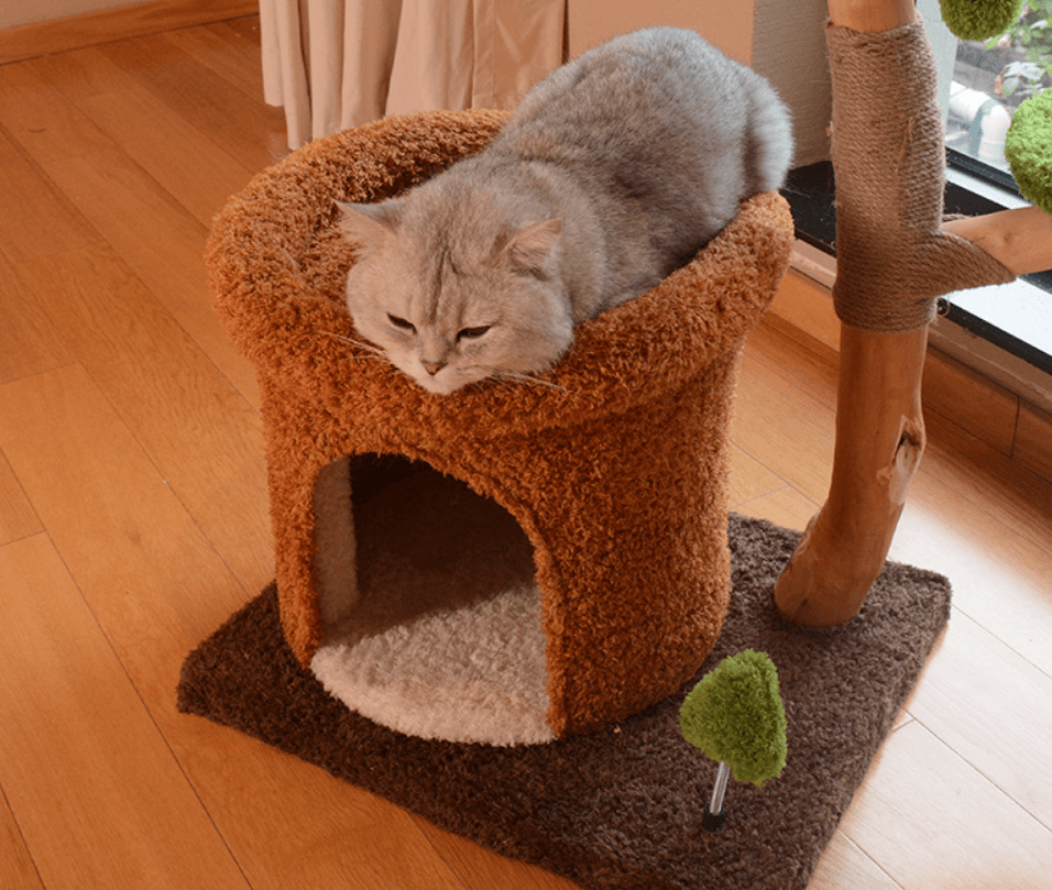 Natural Wood Cat Tree with Cozy Hideaway-Petroom