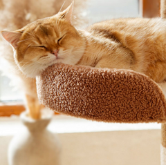 Ona's Cottage Multi-Tier Cat Tree with Cat Scratching Posts-Petroom