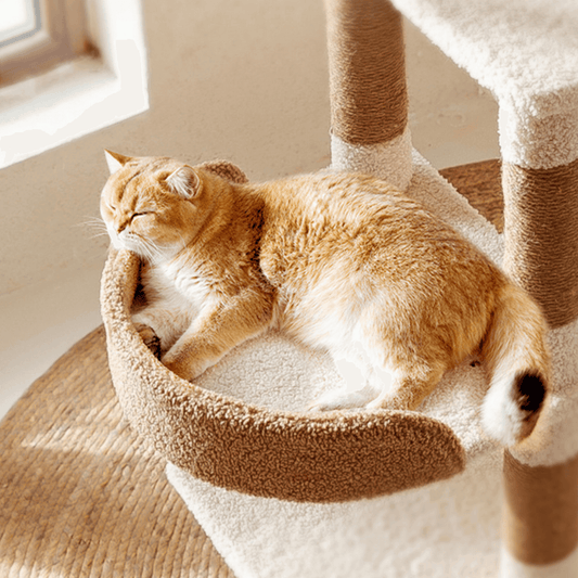 Ona's Cottage Multi-Tier Cat Tree with Cat Scratching Posts-Petroom