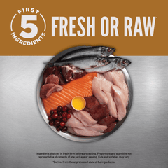 Orijen Puppy Dry Dog Food 10.6kg-Petroom