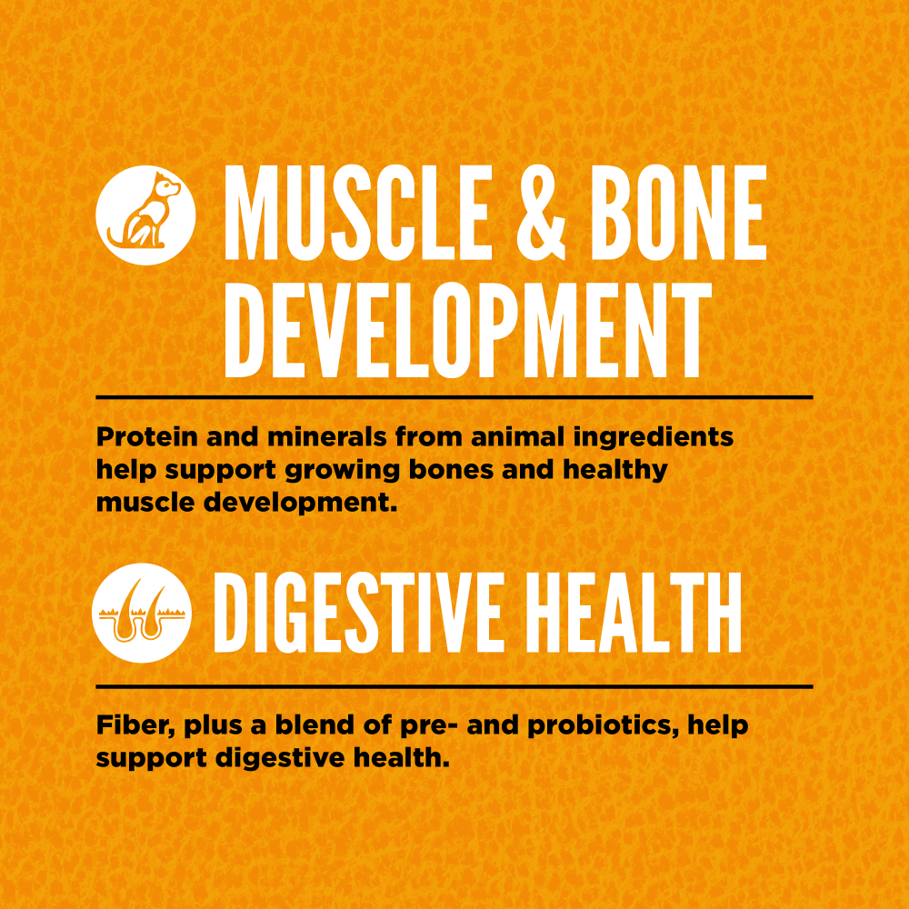 Orijen Puppy Dry Dog Food 10.6kg-Petroom