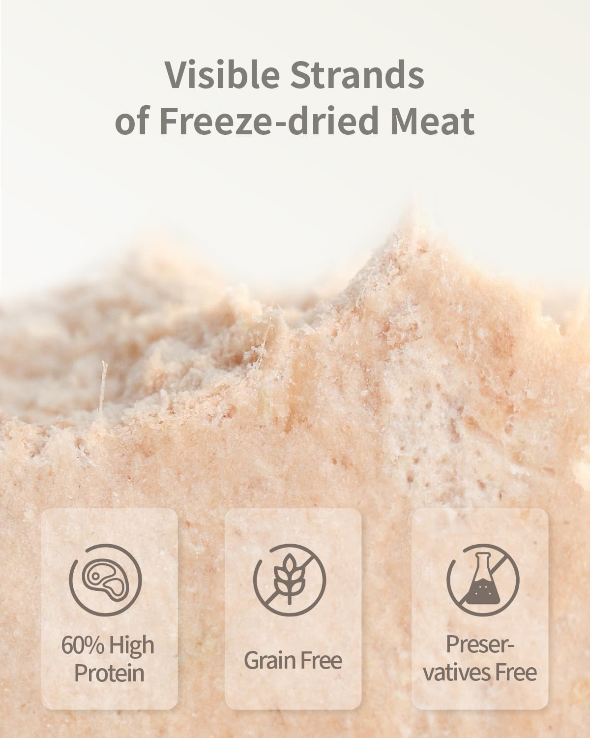 PET-EVER Freeze Dried Raw Cat Food Grain Free Beef/Chicken/Rabbit 400g-PETROOM