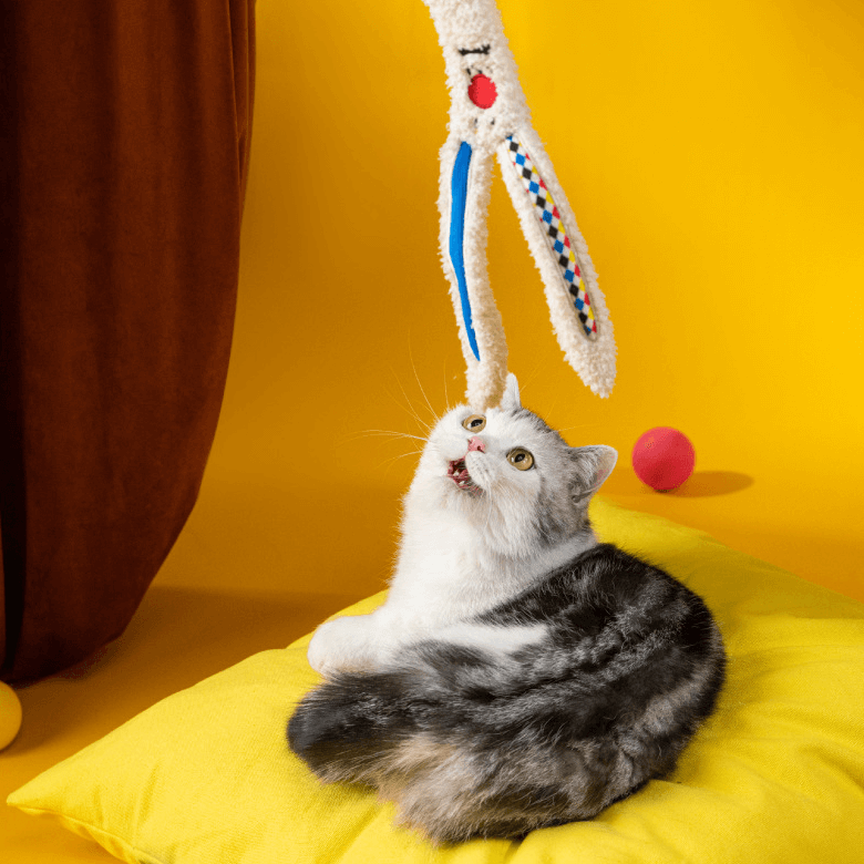PETSVILLE Kitten Teaser Feather Wand-Petroom