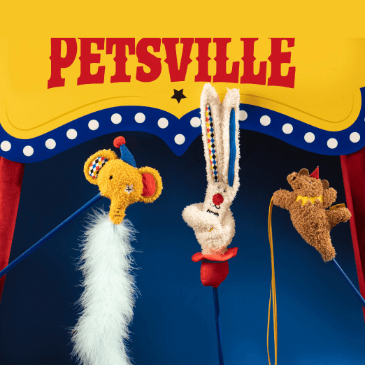 PETSVILLE Kitten Teaser Feather Wand-Petroom