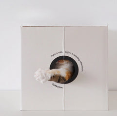 PURROOM Little Chicken Series: Square-Shaped Cat Scratcher House-Petroom