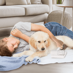 Pet UV-C Ultraviolet Light Cordless Dust Mite Vacuum For Pets-Petroom