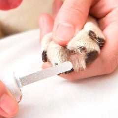 Petpure Cat Nail Clipper With LED Light-Petroom