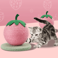 Petroom Fruit Shape Cat Scratching Ball-Petroom
