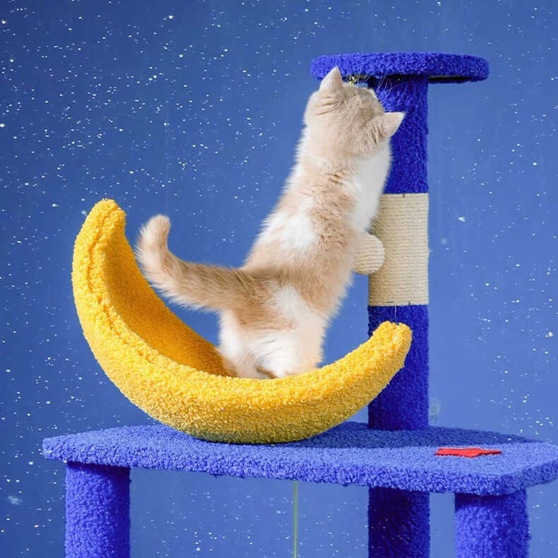 Petroom Galaxy Time Tunnel Cat Tree-Petroom
