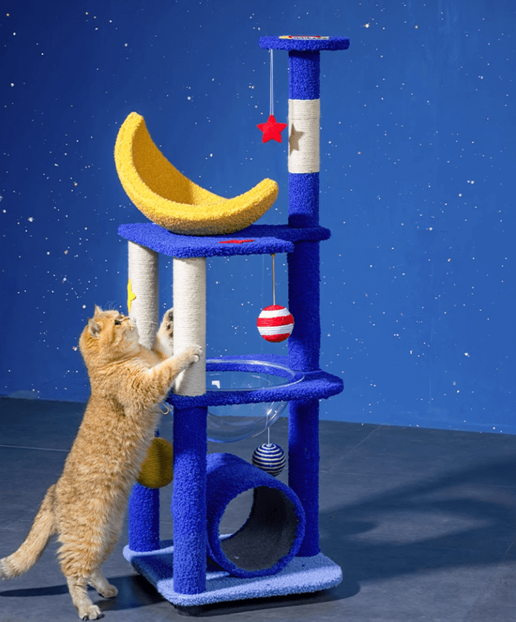 Petroom Galaxy Time Tunnel Cat Tree-Petroom