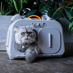 Premium Cat Carrier with Temperature & Humidity Indicator – Safe & Stylish Travel Bag-Petroom