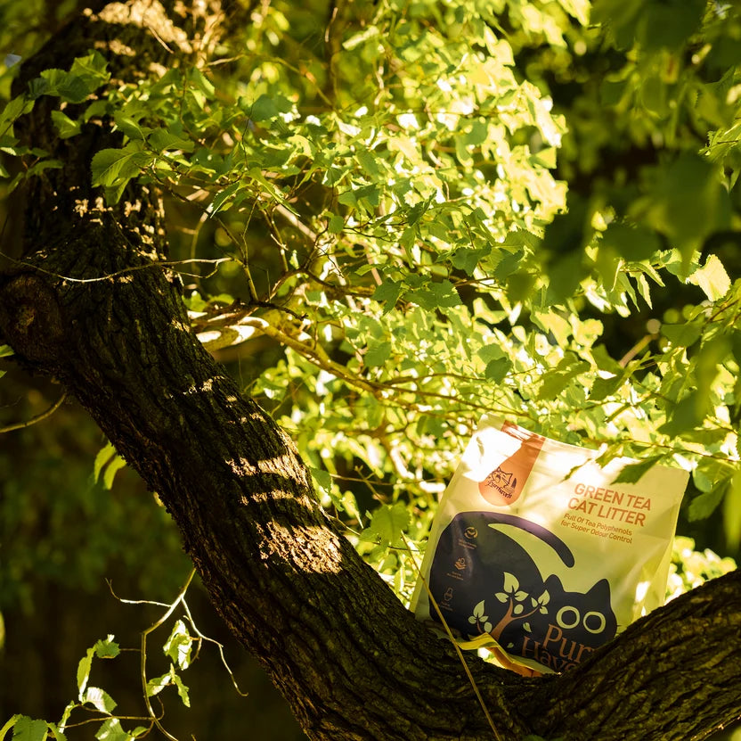 A bag of Purrfect Green Tea Cat Litter placed on a tree branch surrounded by green leaves in a sunny outdoor setting.