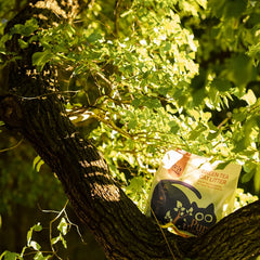 A bag of Purrfect Green Tea Cat Litter placed on a tree branch surrounded by green leaves in a sunny outdoor setting.