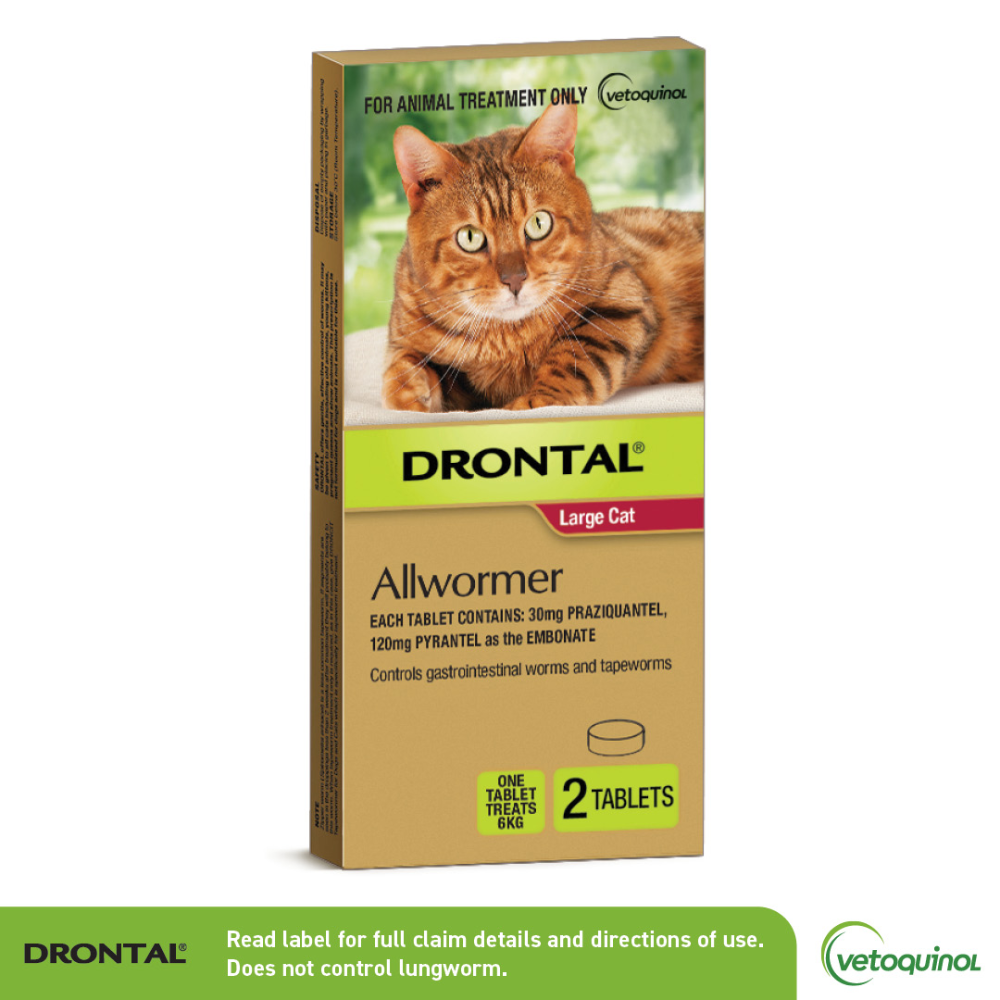 Drontal Cat Allwormer Tablets for Large Cats 6KG x 2 Tablets-PETROOM