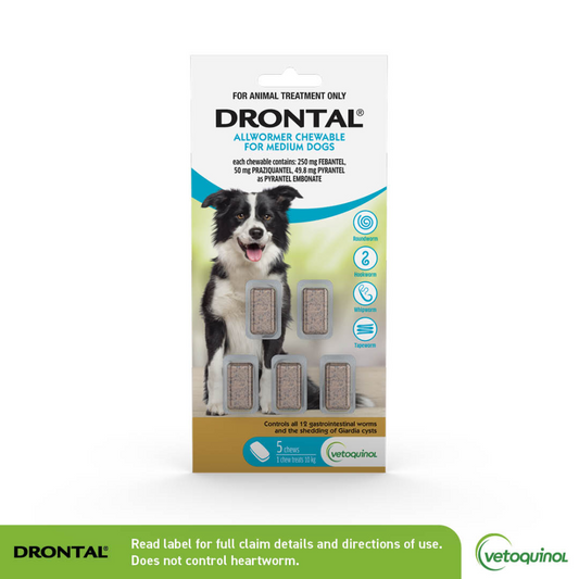 Drontal Medium Dogs Allwormer Chewables 10kg x5 Tablets-PETROOM