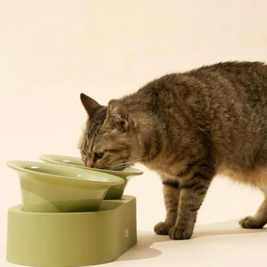 Makesure Jingle 2-in-1 Ceramic Pet Bowl Set for Food & Water Cat Bowls