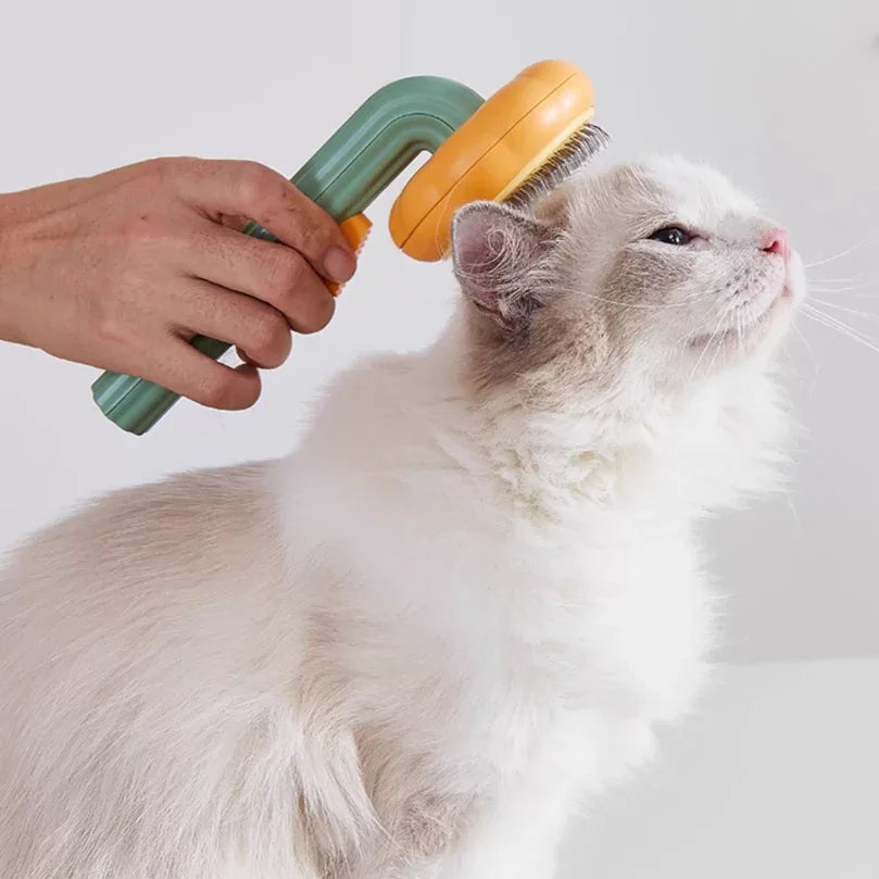 Person using a grooming brush on a white cat against a white background