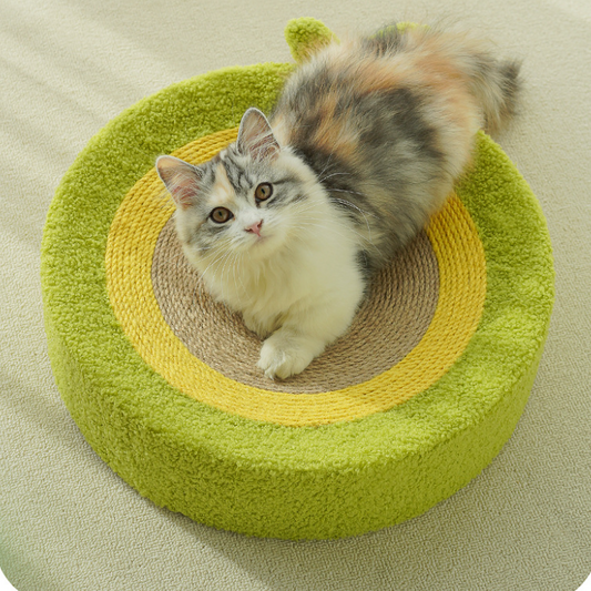 Cat lying on a green and yellow cat bed with sisal rope