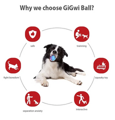 Gigwi Interactive G-Ball Series Squeaky Balls Dog Toy