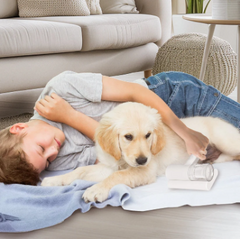 Pet UV-C Ultraviolet Light Cordless Dust Mite Vacuum For Pets