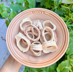 PAWDRY 鹏禹天派 Freeze-Dried Beef Trachea 100g-PETROOM