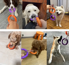 Petroom Dental Triple Ring Chew Dog Toy Purple