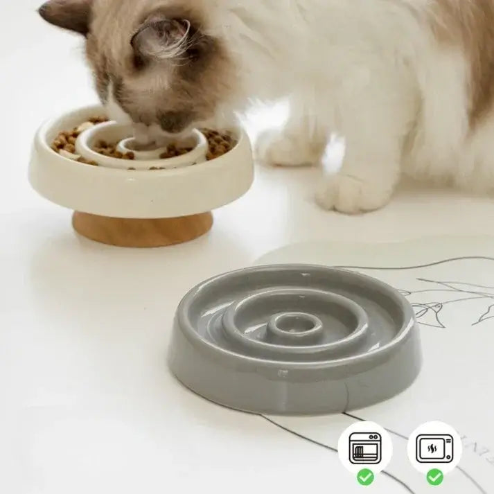 Cat eating from slow feeder bowl; grey and cream ceramic pet bowls for healthy eating