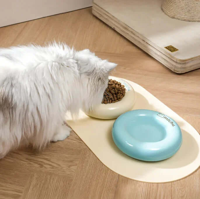 Michu Ceramic Cat Bagel Bowl – Anti-Whisker Wide Shallow Pet Food Bowl Rainbow Colours with cat eating kibble.