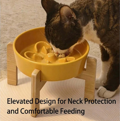 Cat eating from yellow elevated slow feeder bowl with wooden stand for comfortable feeding