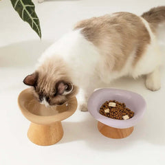 Cat drinking from elevated ceramic bowl beside food bowl, stylish pet feeding set for cats
