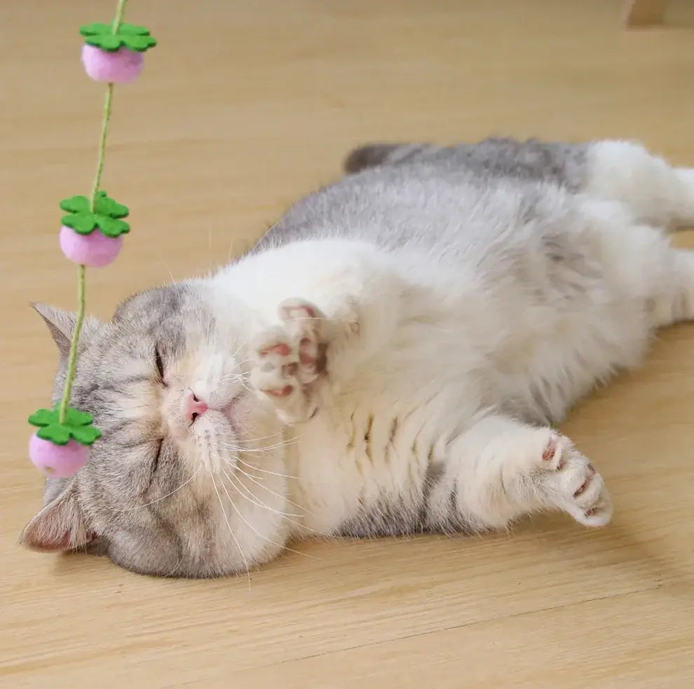 Fluffy grey and white cat playing with pink felt strawberry cat toy on wooden floor