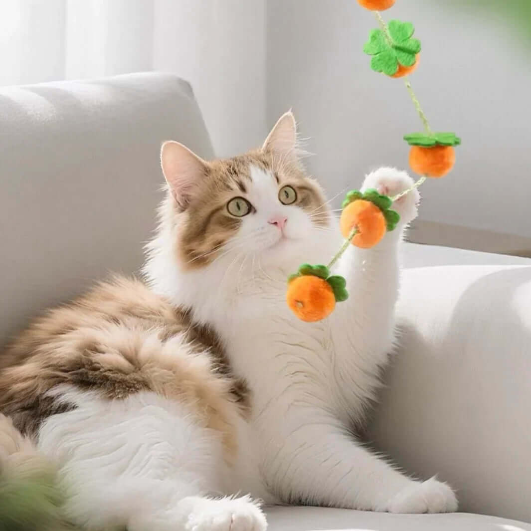 Fluffy cat playing with orange pom-pom toy on string, perfect for indoor cat entertainment and exercise.