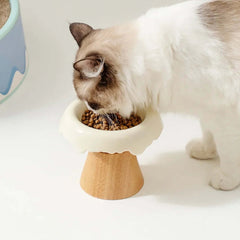 Cat eating from elevated ceramic and wood pet bowl, stylish cat food feeder for healthy posture
