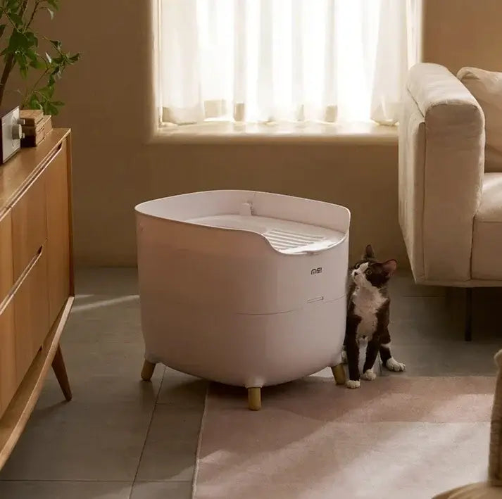 Modern white cat litter box with wooden legs in cozy living room, cat nearby
