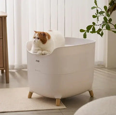 Fluffy cat in modern white litter box with wooden legs, stylish pet supply for home