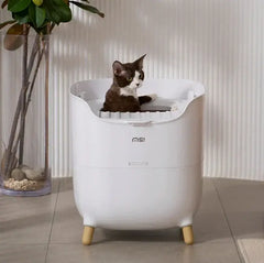 Cat in modern white litter box with wooden legs, stylish pet supply for home