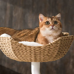 Michu DeskMate Desk-Mounted Cat Tree Perfect For WFH featuring a cozy cat resting on a stylish perch.