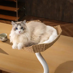 Cat relaxing in the Michu DeskMate Desk-Mounted Cat Tree Perfect For WFH, a stylish perch for home offices.