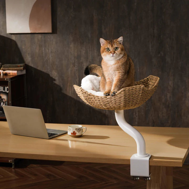 Michu DeskMate Desk-Mounted Cat Tree Perfect For WFH with a cat sitting comfortably on a woven perch by a desk.