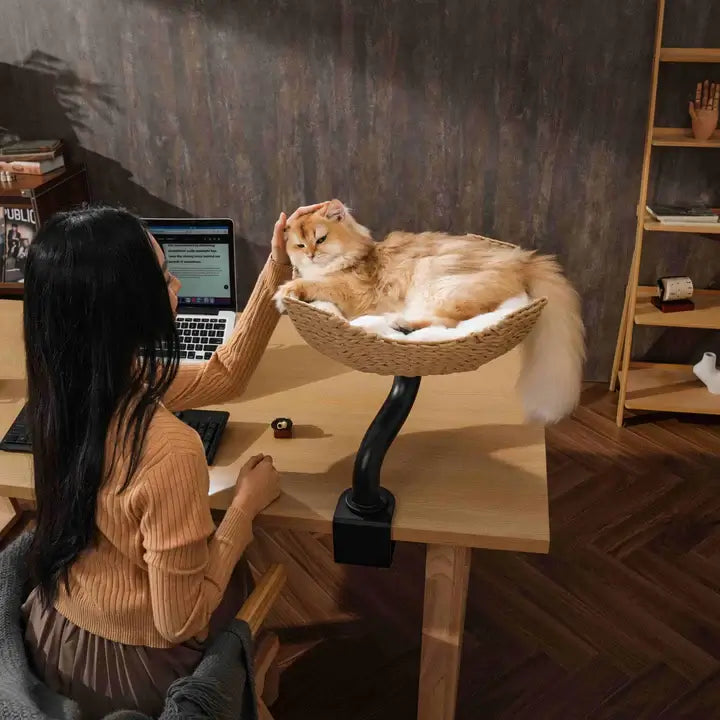 Michu DeskMate Desk-Mounted Cat Tree Perfect For WFH with cat lounging above workspace and woman working on laptop.