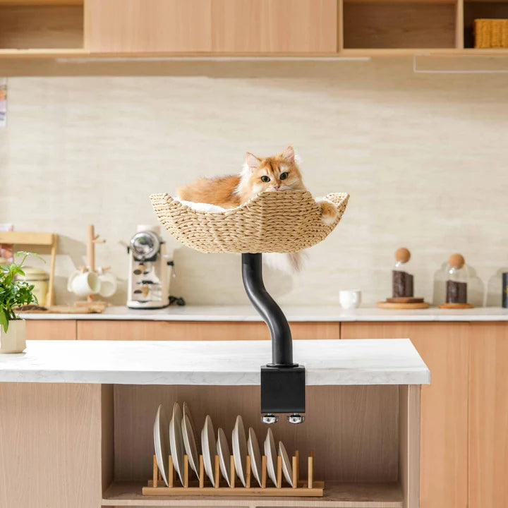 Michu DeskMate Desk-Mounted Cat Tree Perfect For WFH featuring a cat lounging on a stylish perch in a home office.