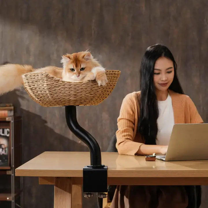 Michu DeskMate Desk-Mounted Cat Tree Perfect For WFH featuring a cat lounging next to a woman working at her desk.