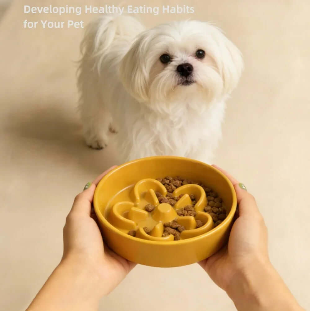 Small white dog with slow feeder bowl for healthy pet eating habits