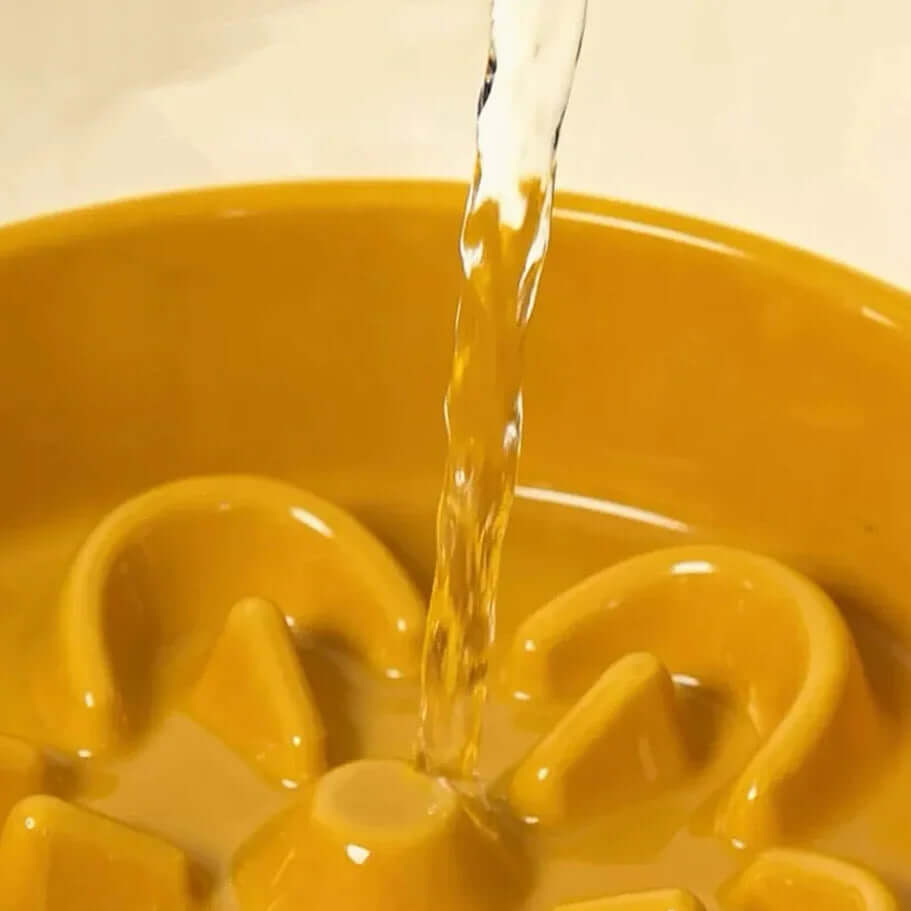 Water pouring into yellow ceramic pet water fountain for cats and dogs
